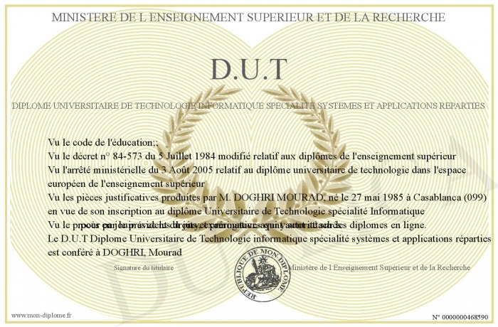 diplome universitaire technologique